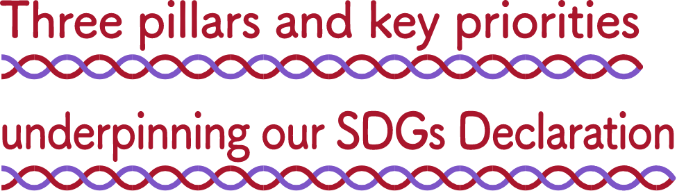 Three pillars and key priorities underpinning our SDGs Declaration